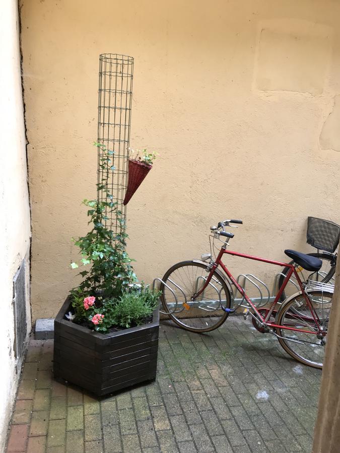 La Cour Des Cordonniers, Centre Cathedrale Petite France Apartment Strasbourg Exterior photo